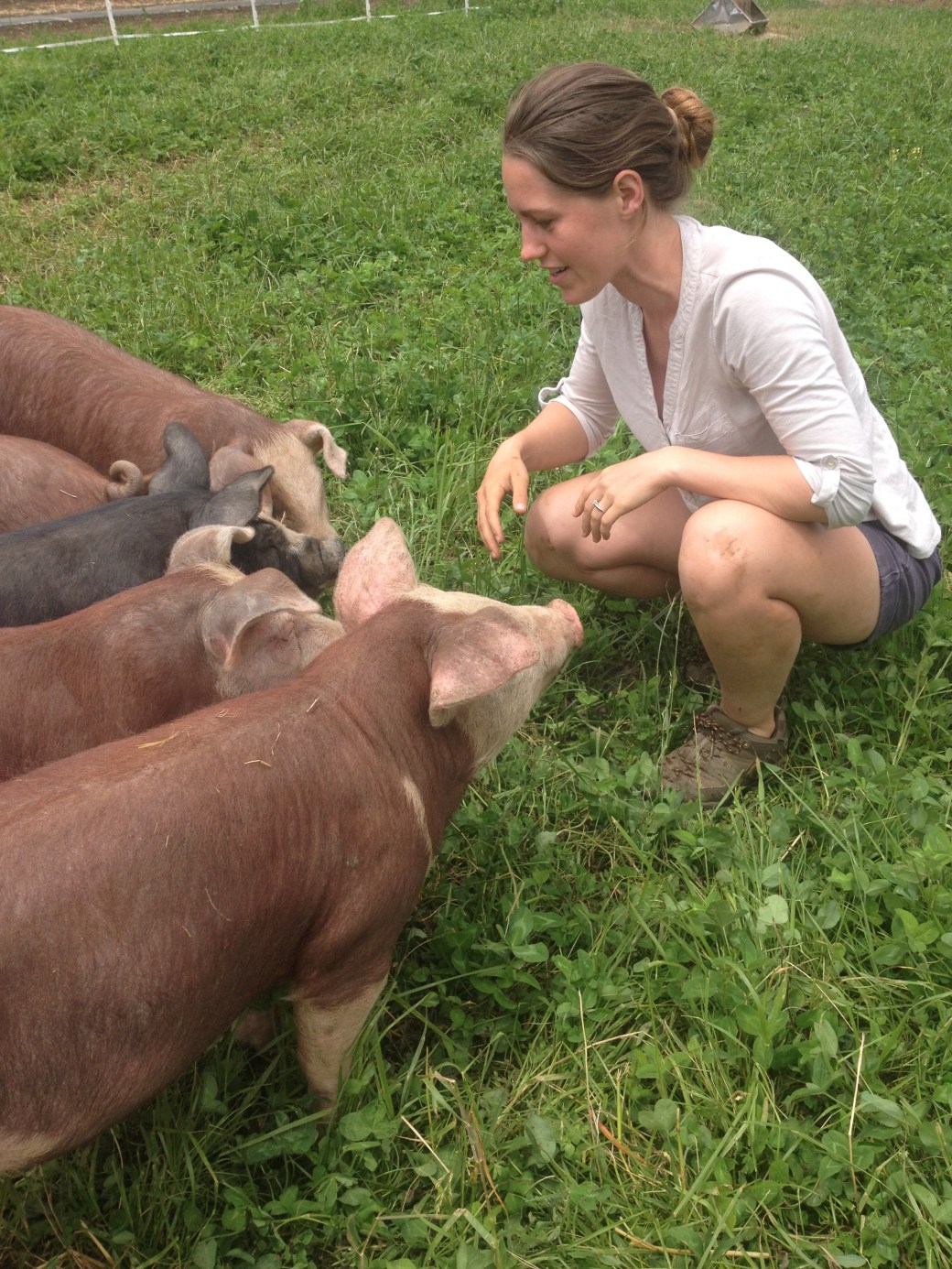 heather-pigs-elderberry-pond